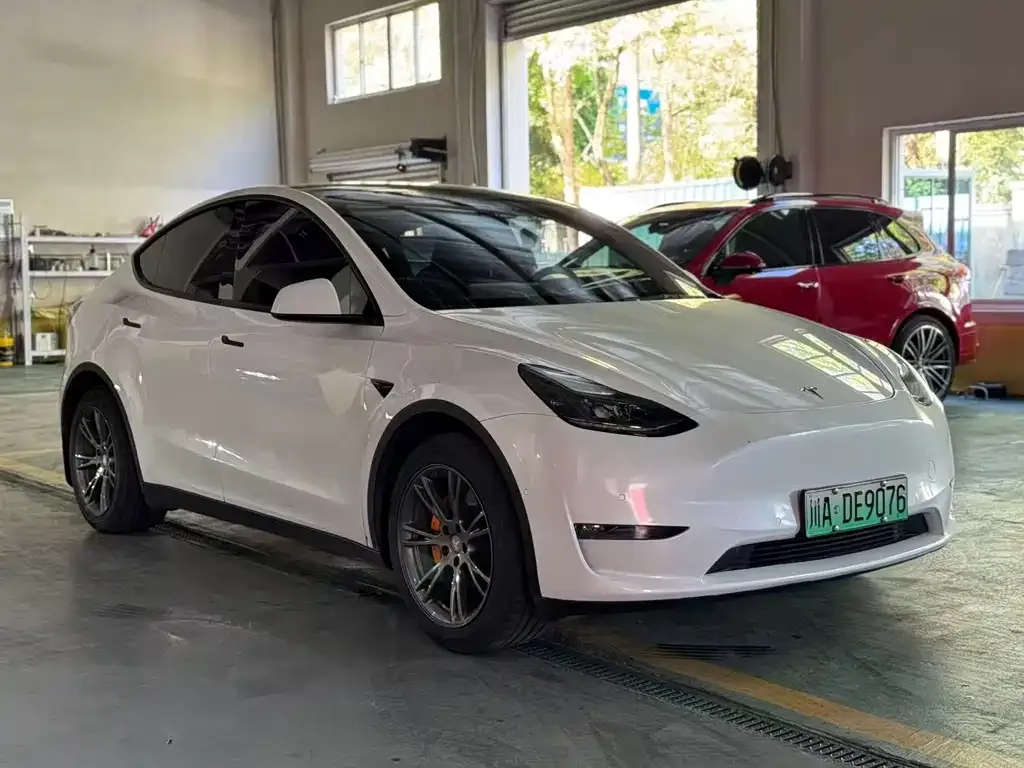 Tesla Model Y — фото 8