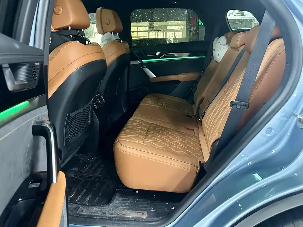 BYD Tang New Energy 2024 из CN, фото 4