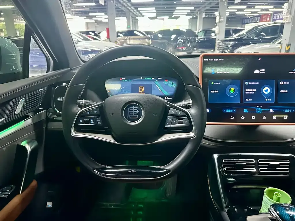 BYD Tang New Energy 2024 из CN, фото 9