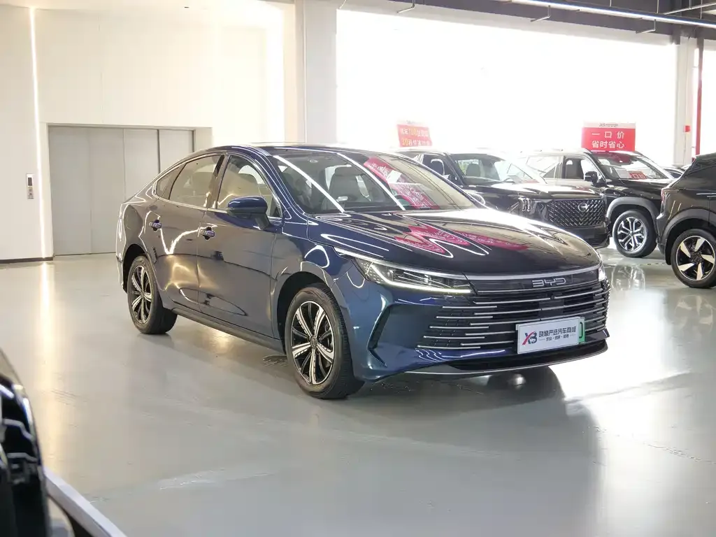 BYD Destroyer 05 — фото 10