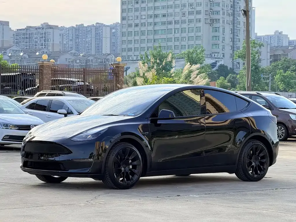 Tesla Model Y — фото 8
