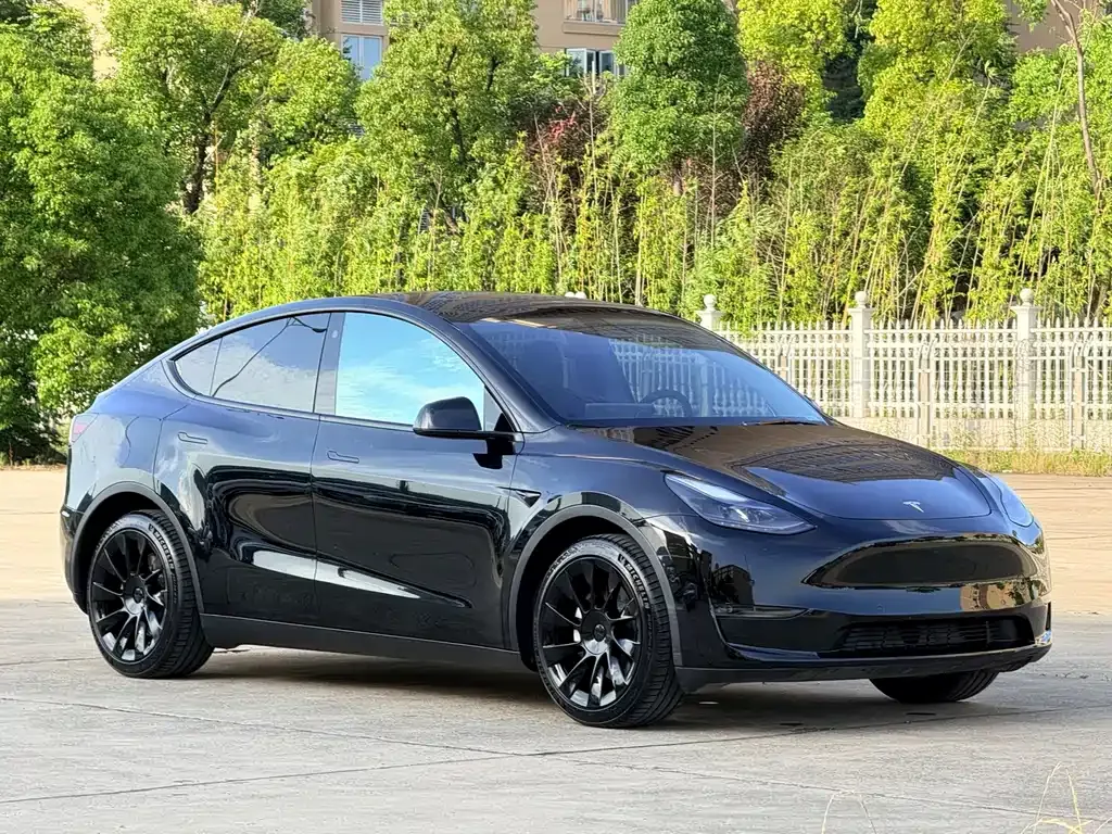 Tesla Model Y — фото 10