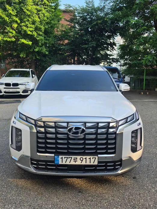 Hyundai Palisade — фото 1