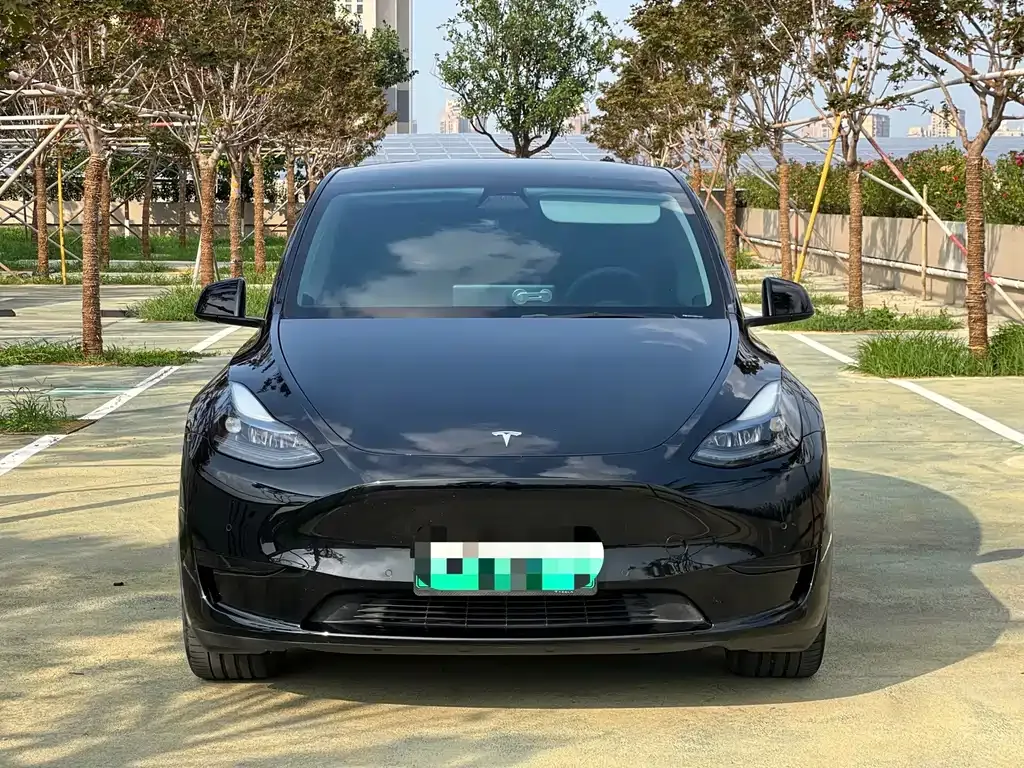 Tesla Model Y — фото 3
