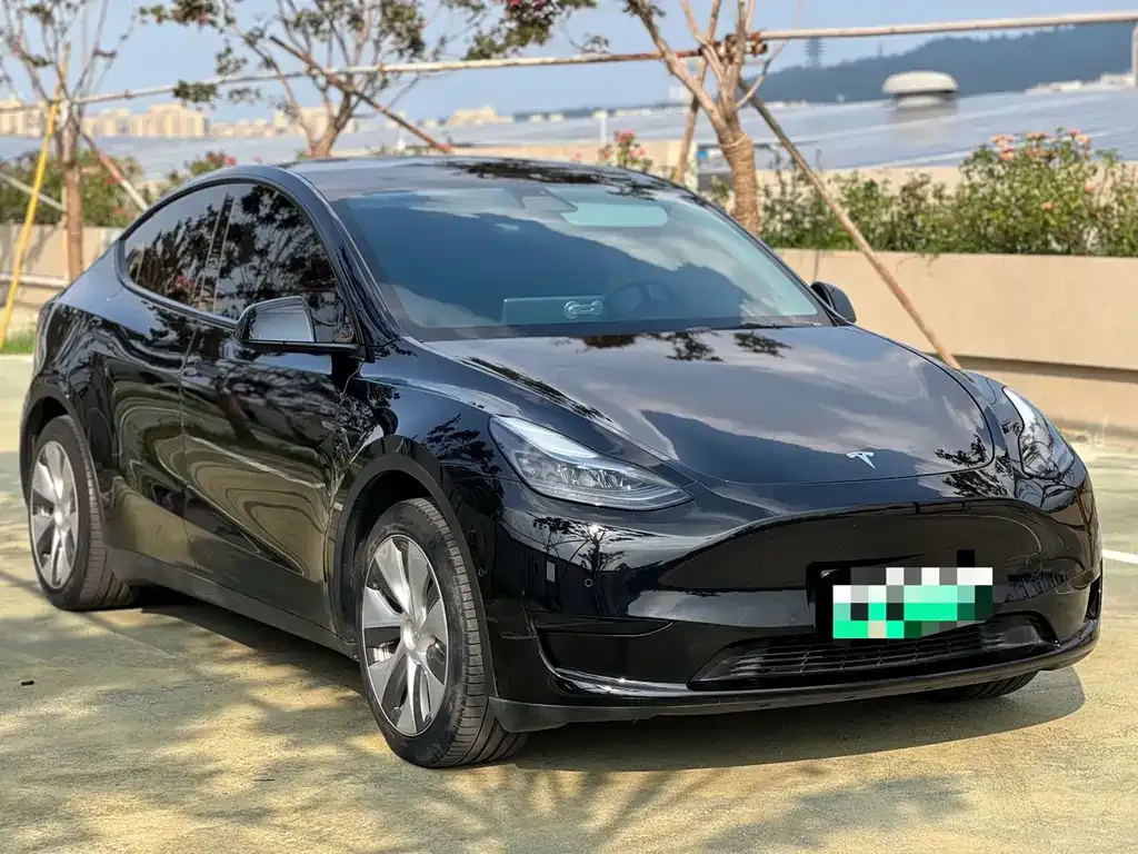 Tesla Model Y — фото 9