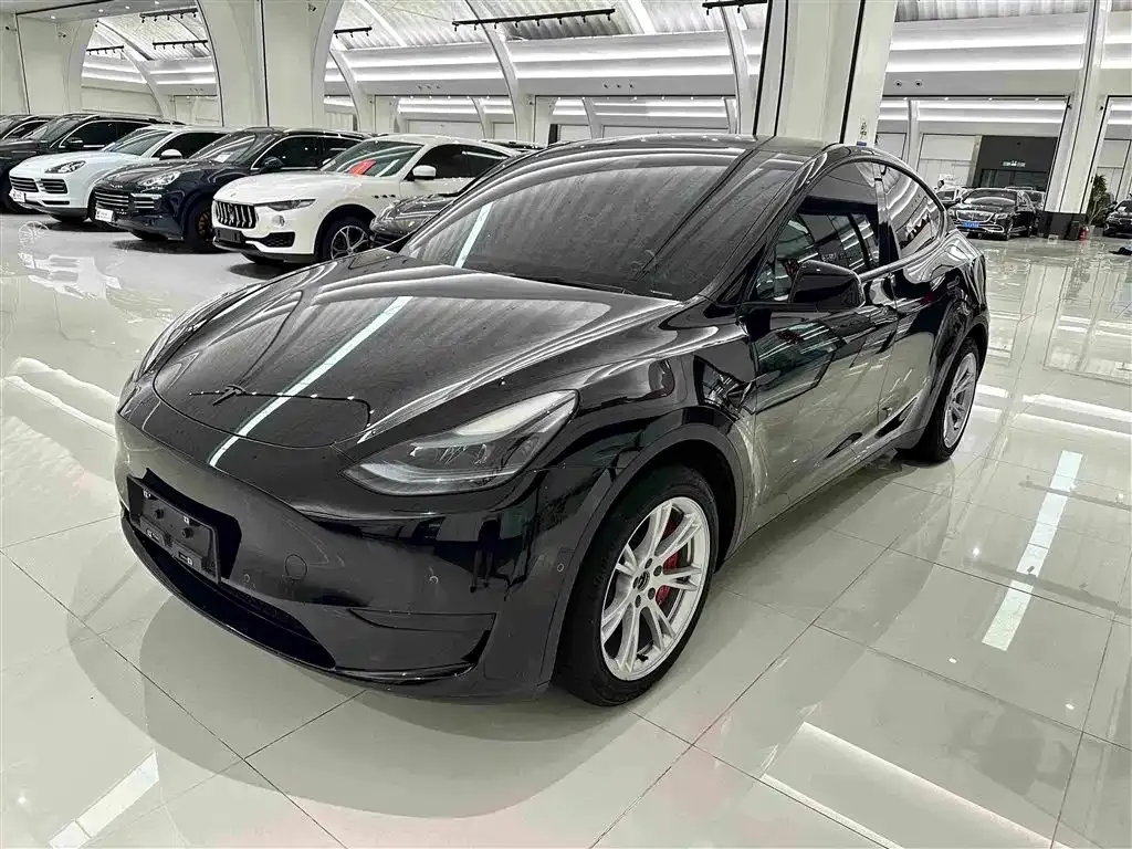 Tesla Model Y — фото 1