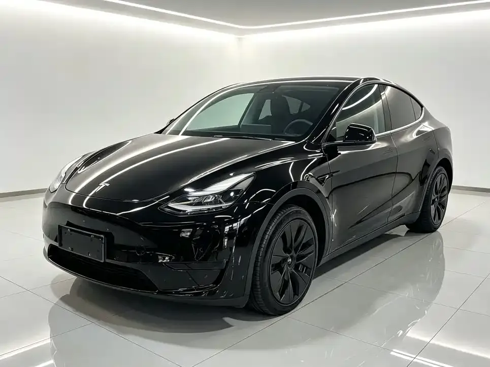 Tesla Model Y — фото 6