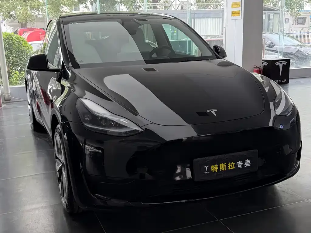 Tesla Model Y — фото 8