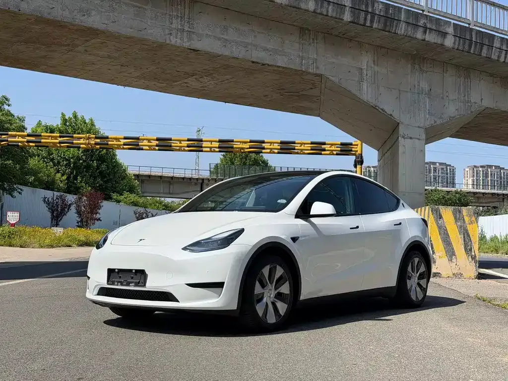 Tesla Model Y — фото 1