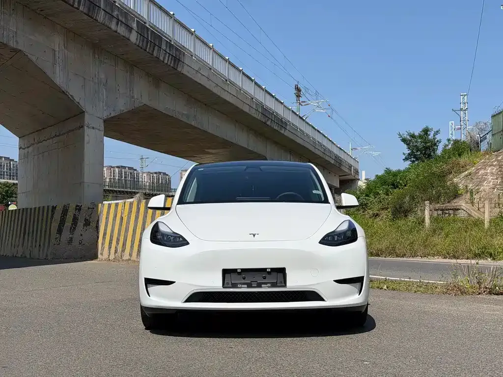 Tesla Model Y — фото 3