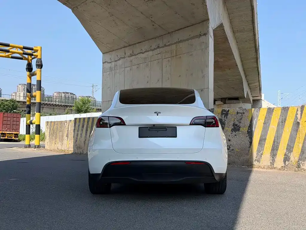Tesla Model Y — фото 6
