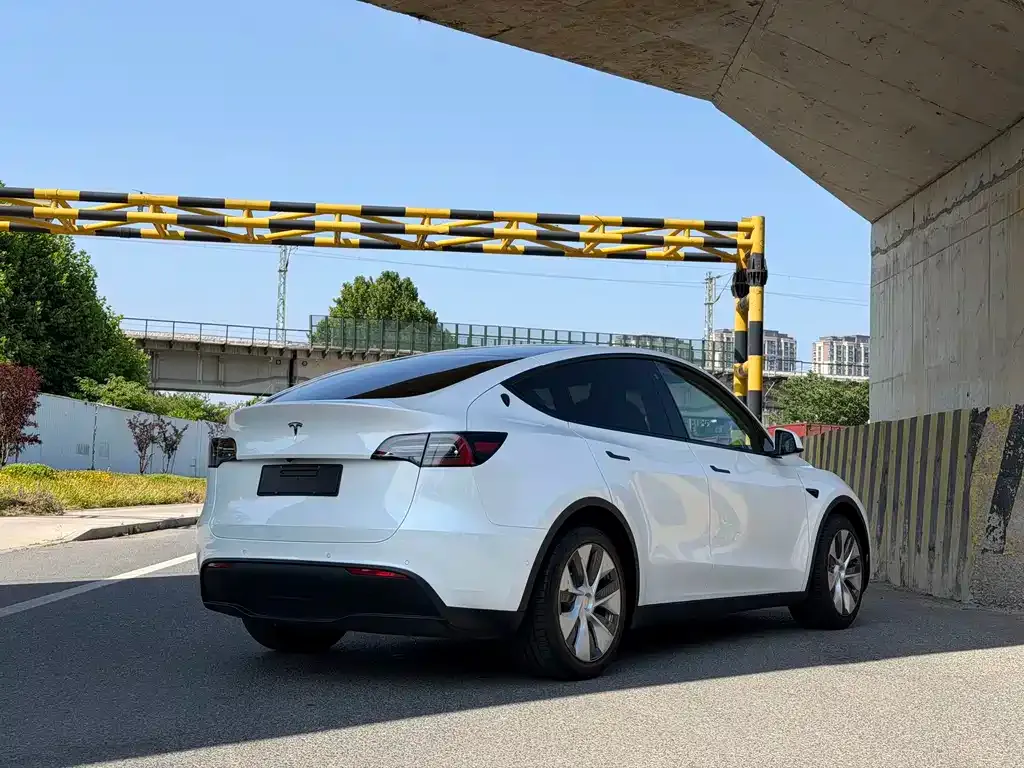 Tesla Model Y — фото 7