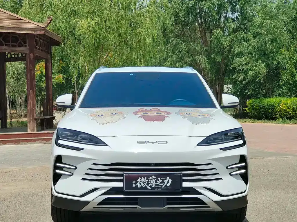 BYD PLUS New Energy — фото 2