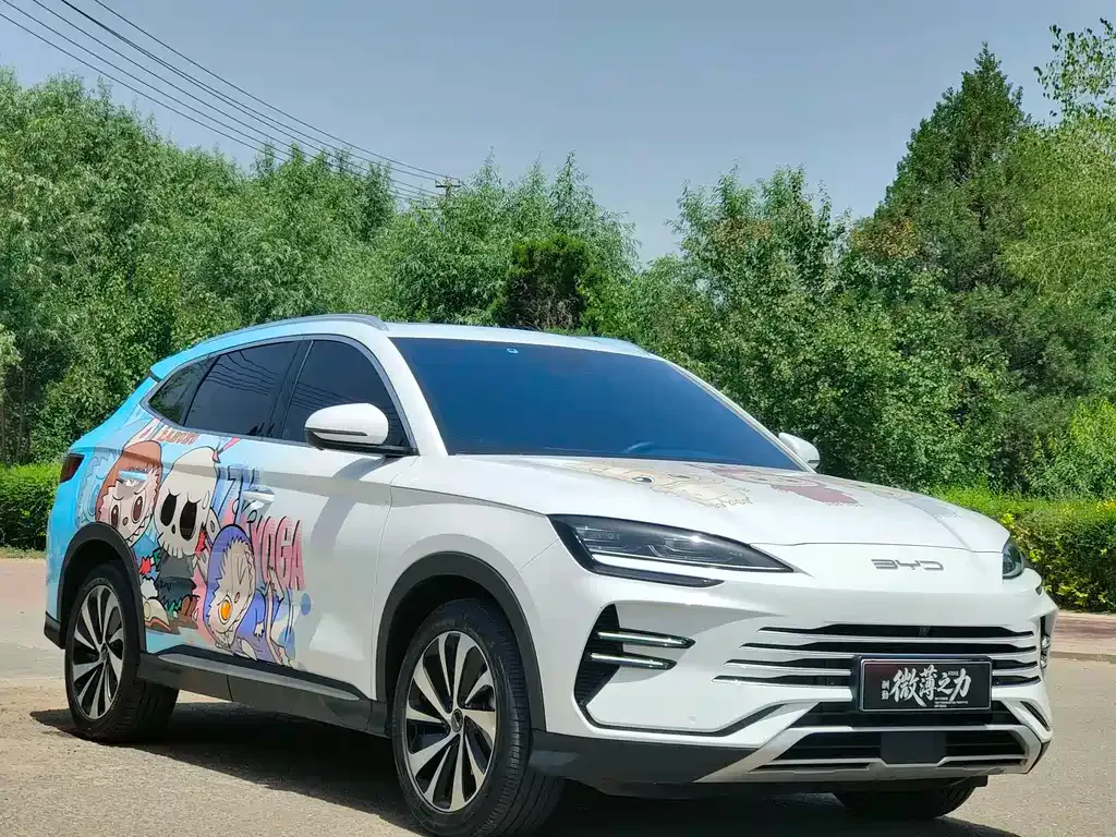BYD PLUS New Energy — фото 9