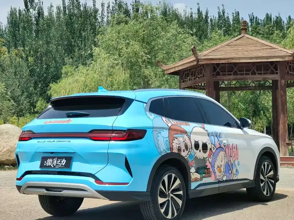 BYD PLUS New Energy — фото 8