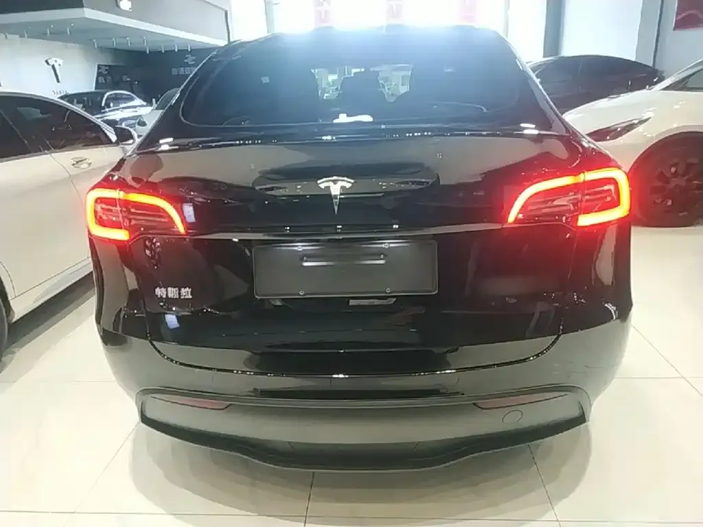 Tesla Model Y — фото 9