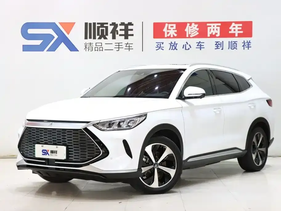 BYD PLUS New Energy — фото 1