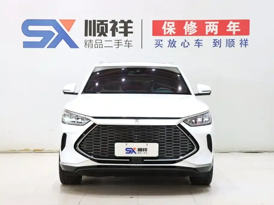 BYD PLUS New Energy — фото 3