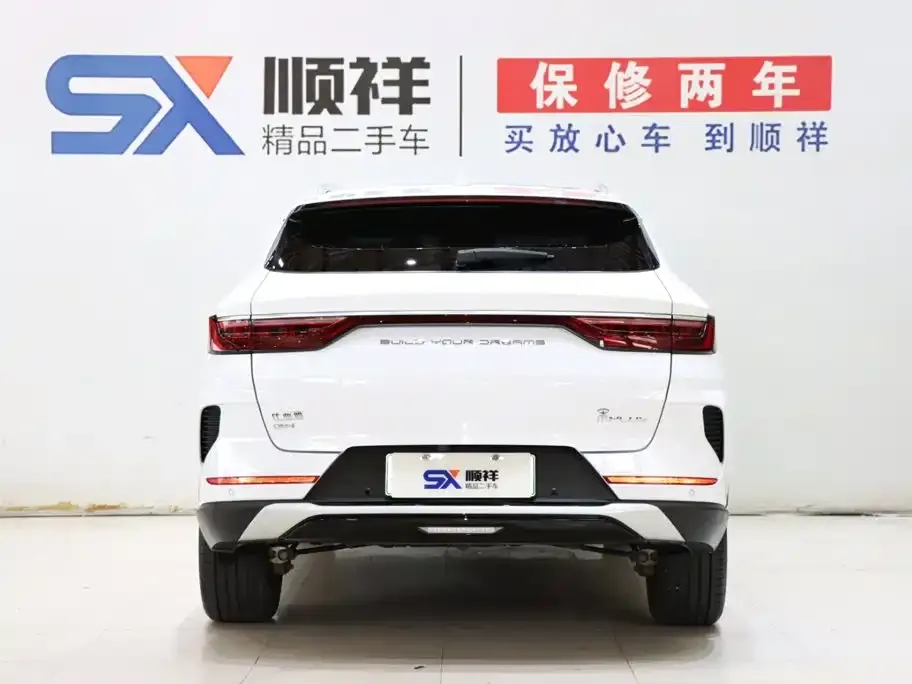 BYD PLUS New Energy — фото 4