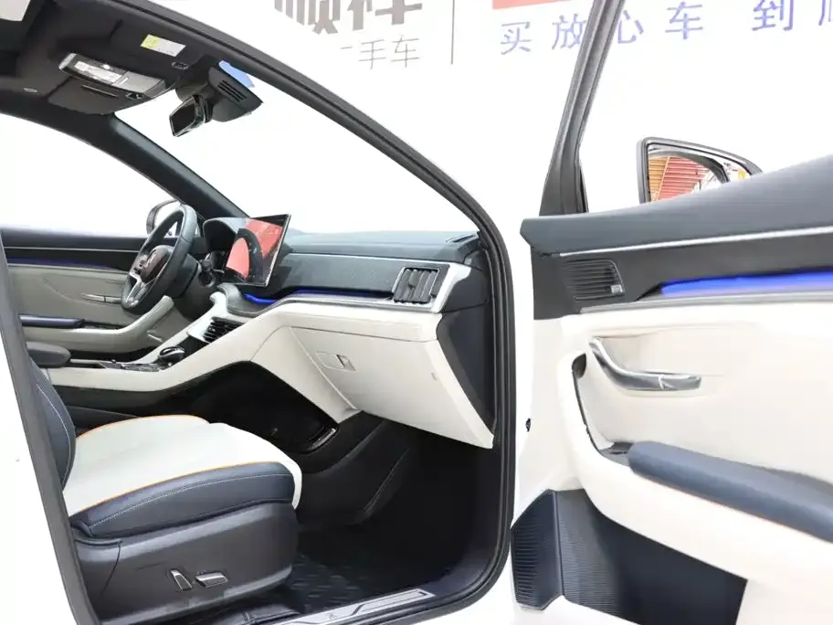 BYD PLUS New Energy — фото 8