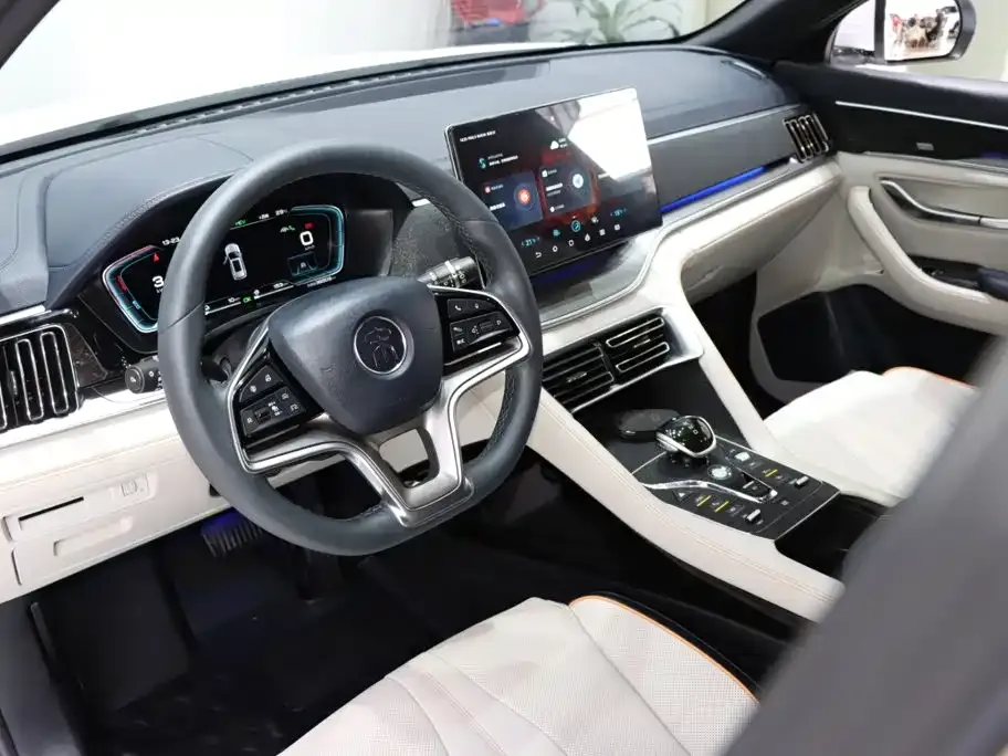 BYD PLUS New Energy — фото 10