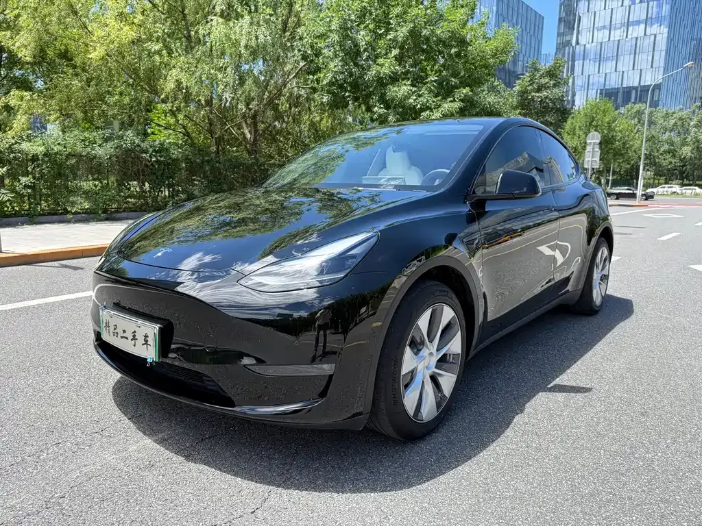 Tesla Model Y — фото 1