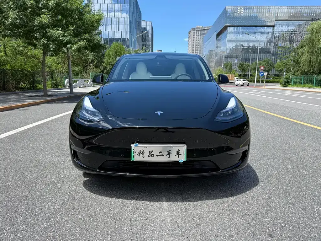 Tesla Model Y — фото 5