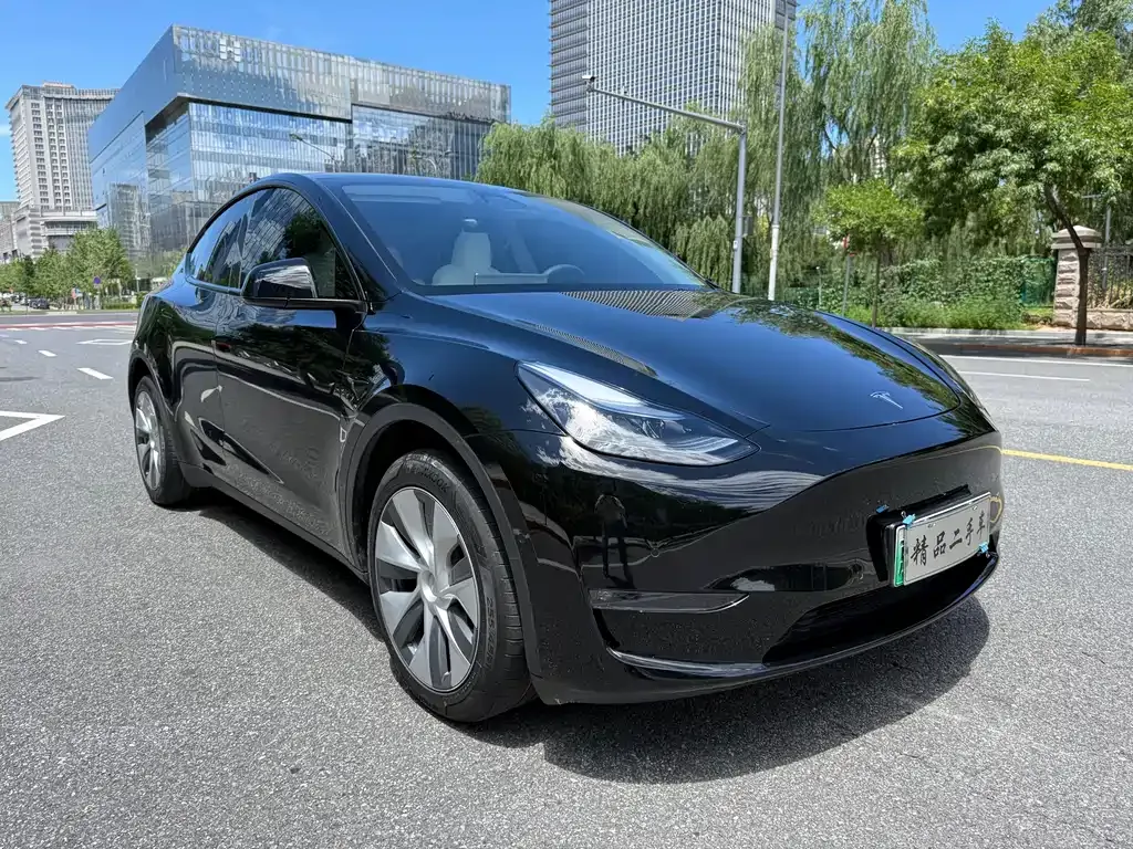 Tesla Model Y — фото 10