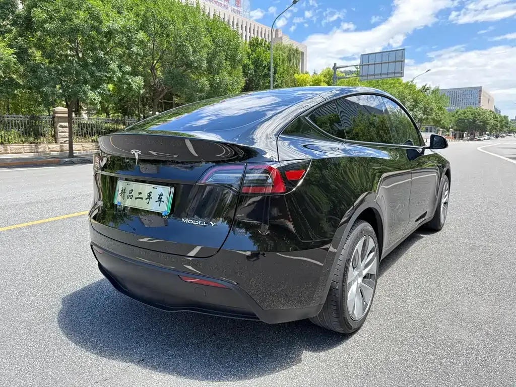 Tesla Model Y — фото 8