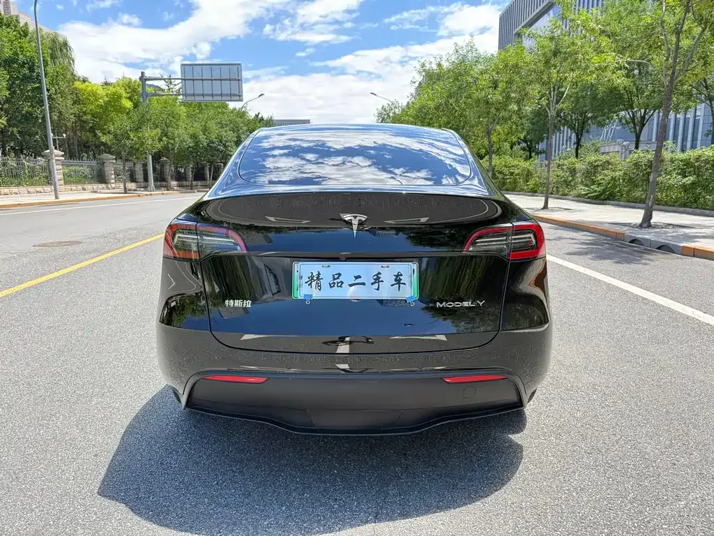 Tesla Model Y — фото 9