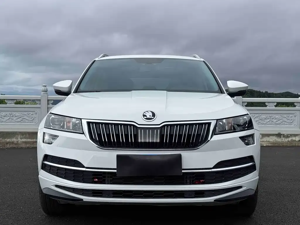 Skoda Karoq — фото 8