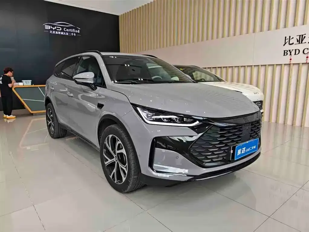 BYD Tang New Energy — фото 10