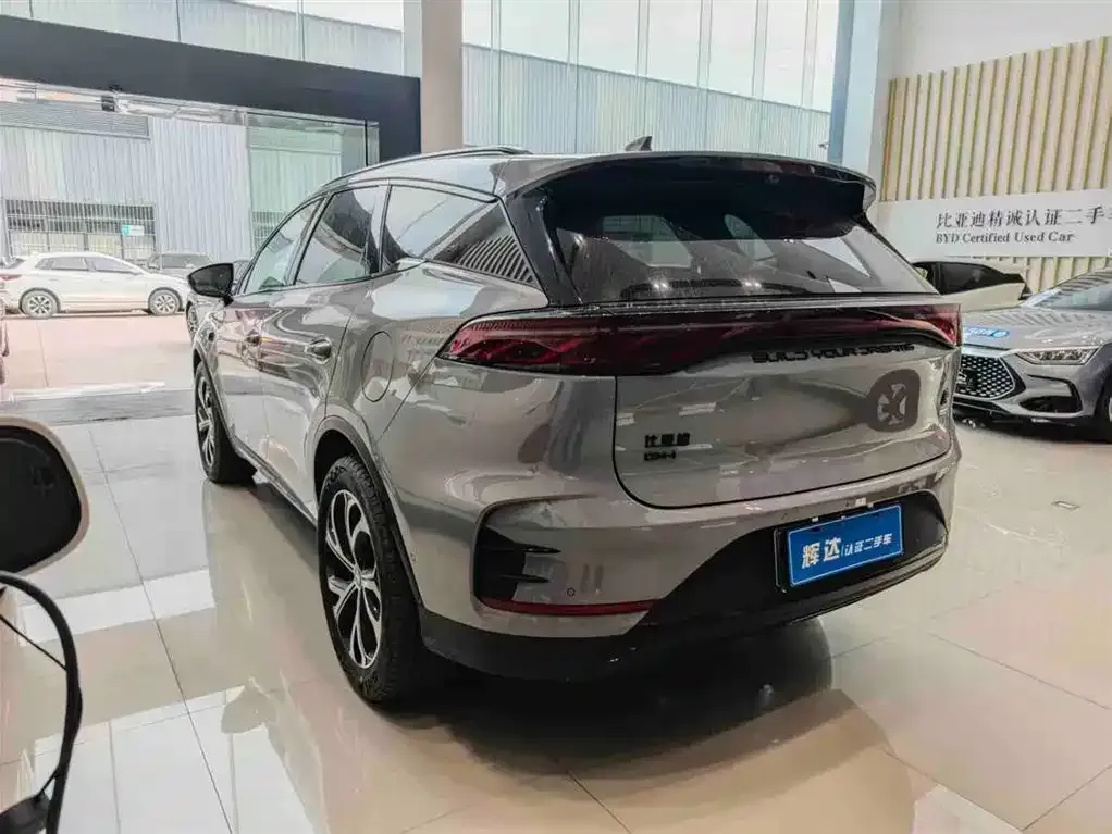 BYD Tang New Energy — фото 9