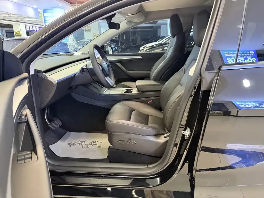 Tesla Model Y — фото 10