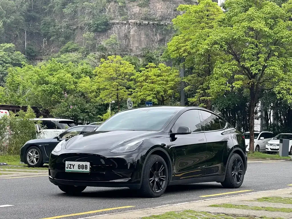 Tesla Model Y — фото 1