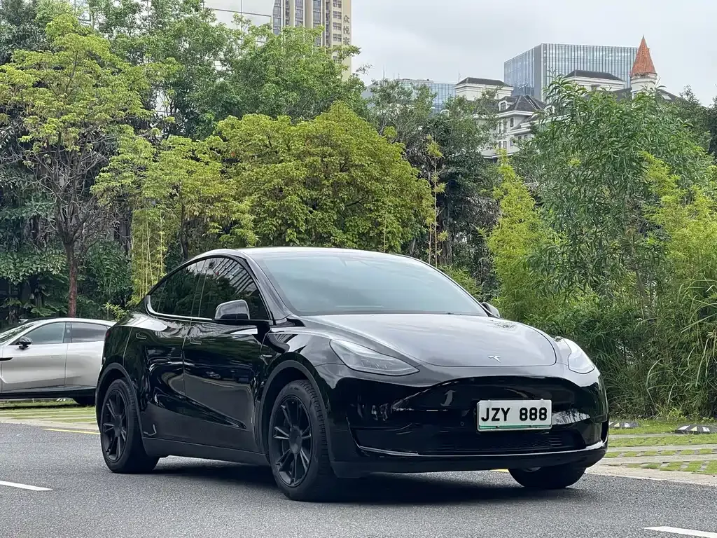 Tesla Model Y — фото 8