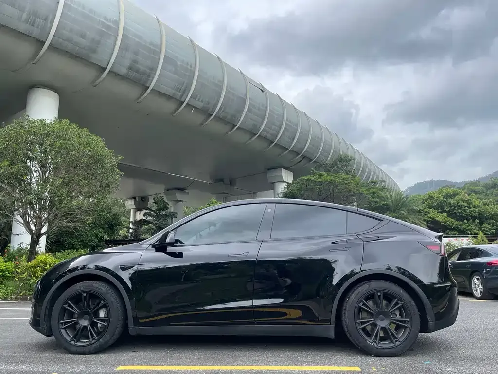 Tesla Model Y — фото 3