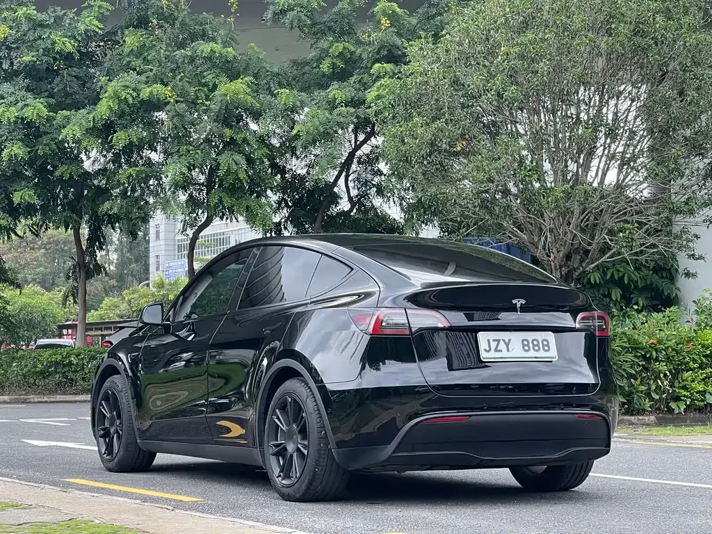 Tesla Model Y — фото 10