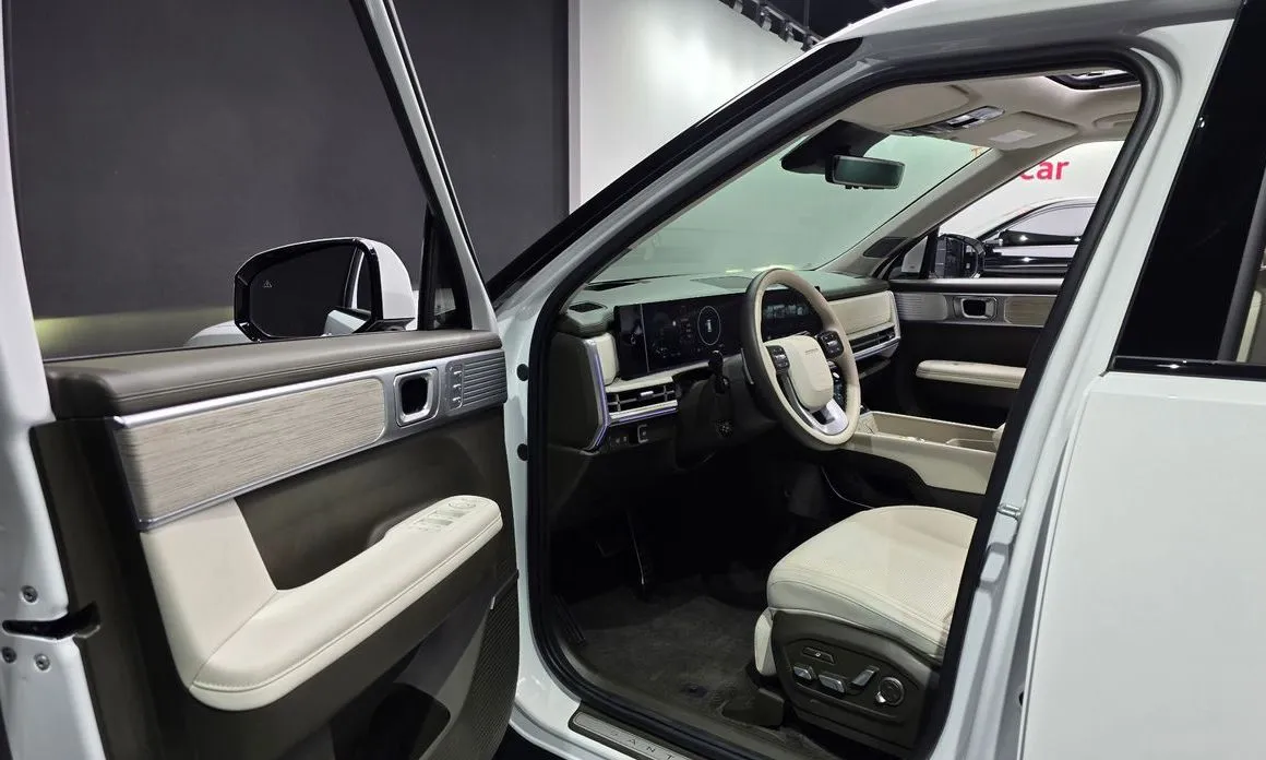 Hyundai Santafe — фото 8