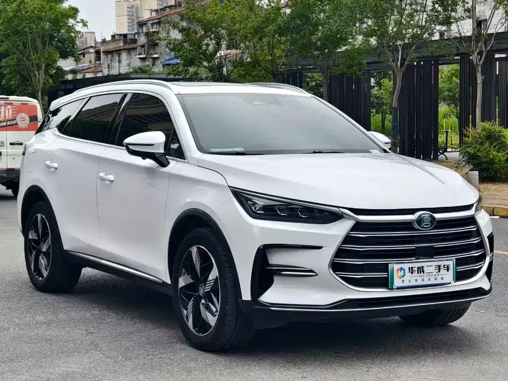 BYD Tang New Energy 2024 из CN, фото 10