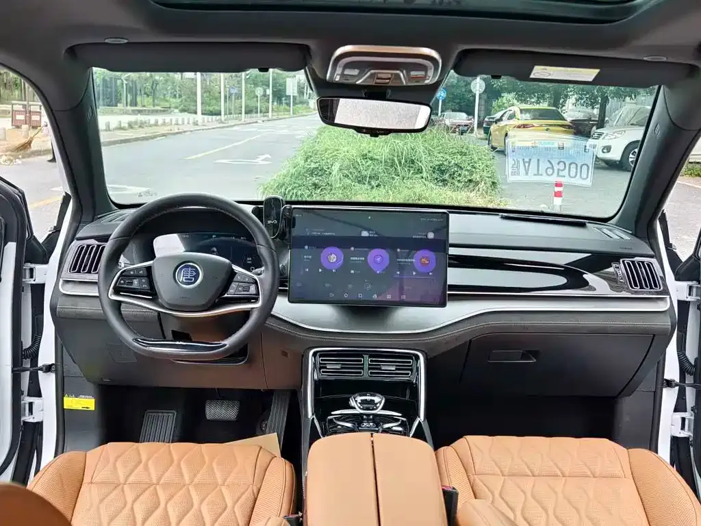 BYD Tang New Energy 2024 из CN, фото 9