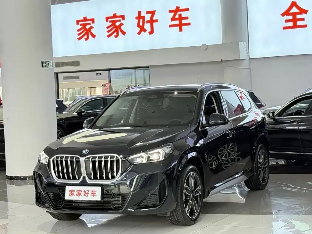 BMW X1 — фото 1