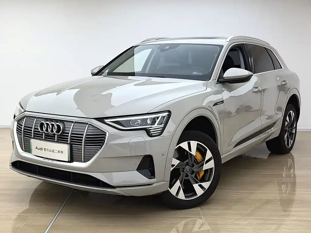 Audi e-tron (Import) — фото 1