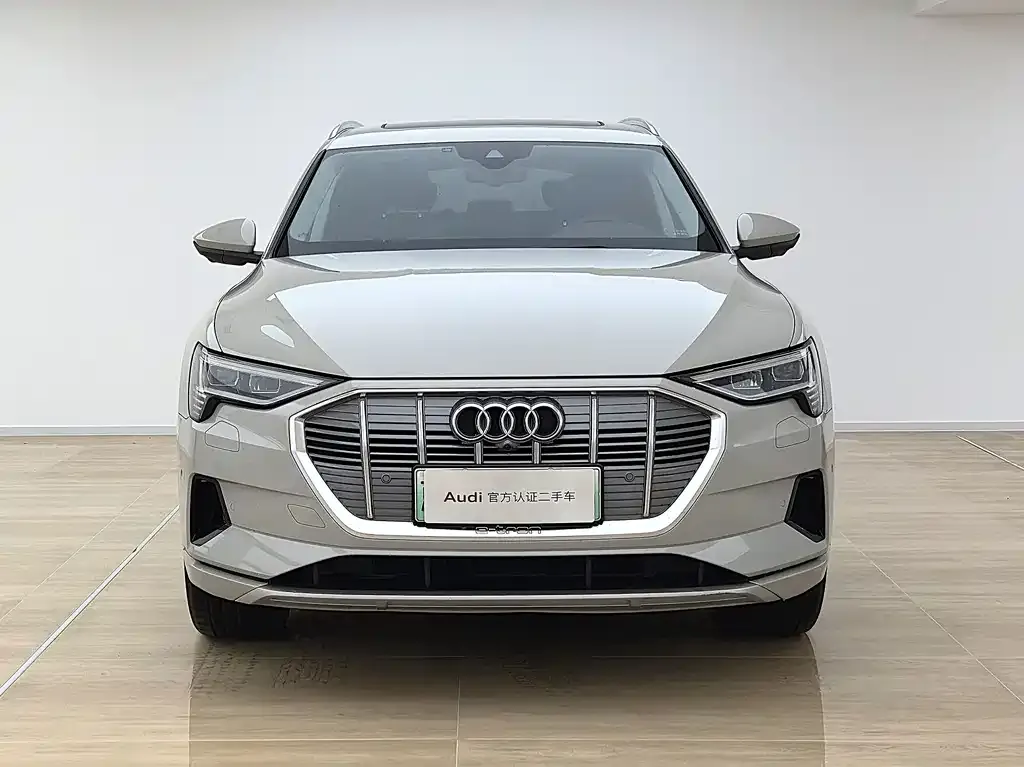Audi e-tron (Import) — фото 6
