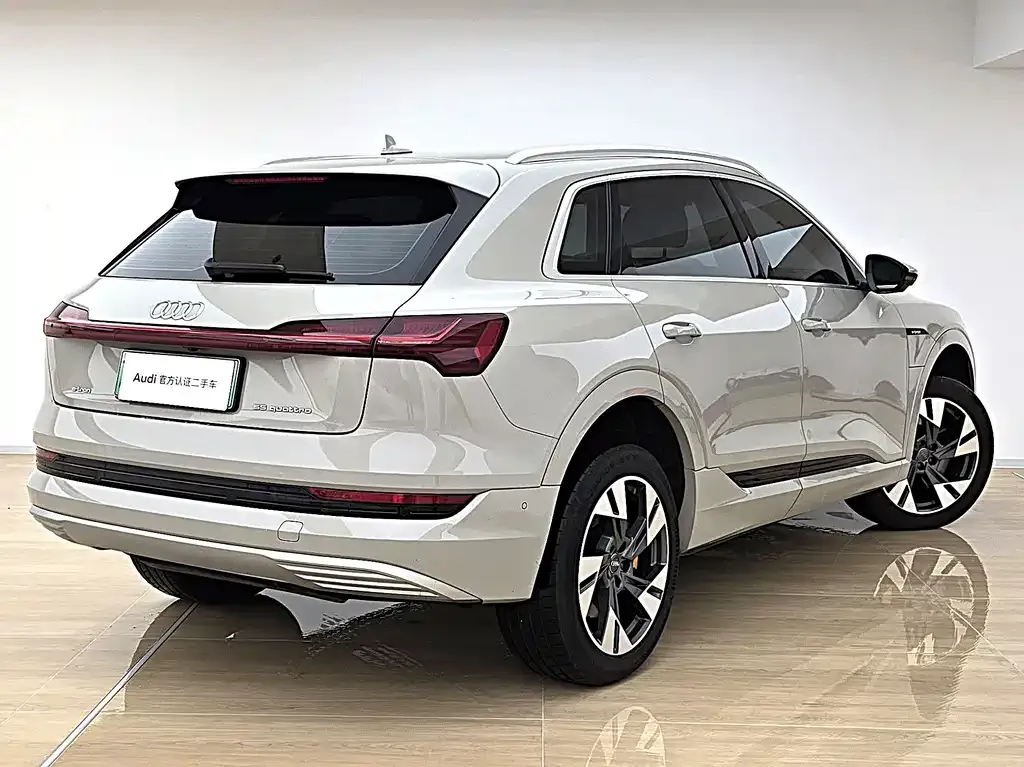 Audi e-tron (Import) — фото 9