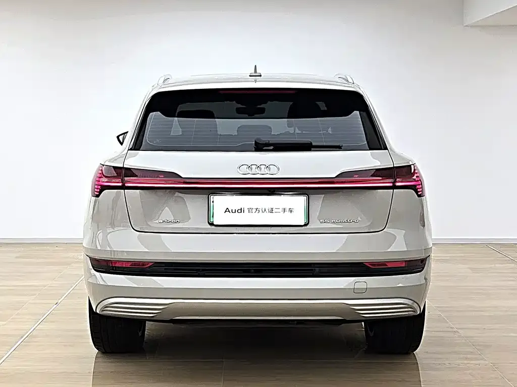 Audi e-tron (Import) — фото 7