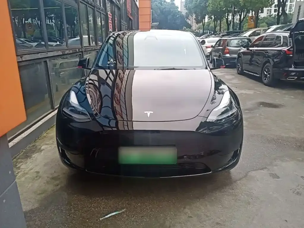 Tesla Model Y — фото 10