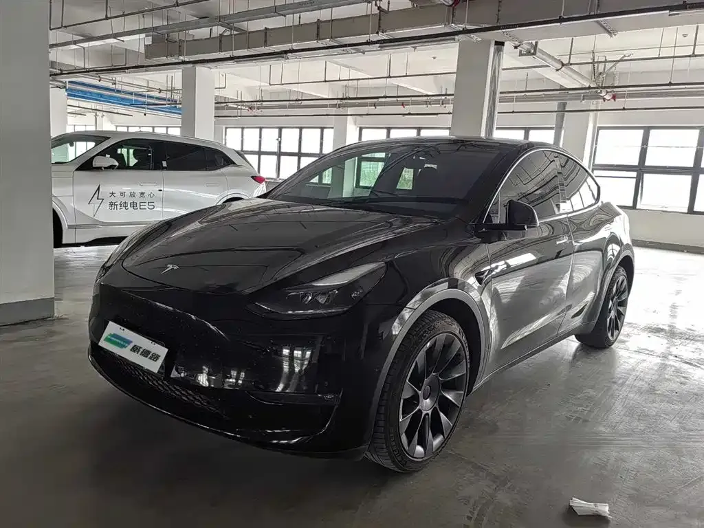 Tesla Model Y — фото 1