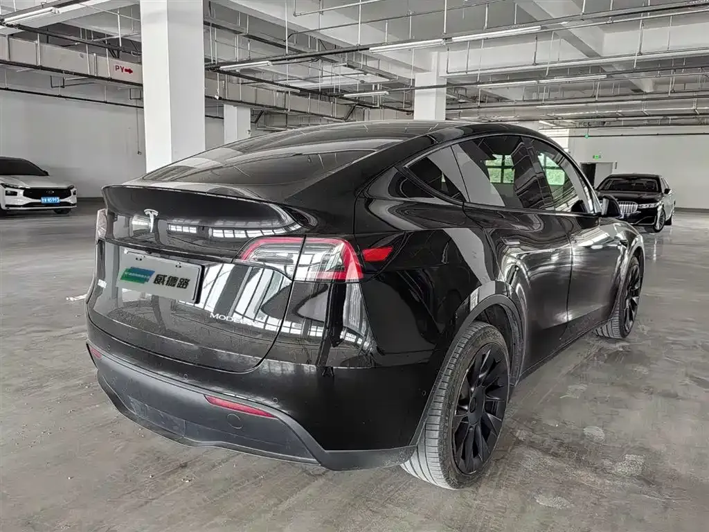 Tesla Model Y — фото 9