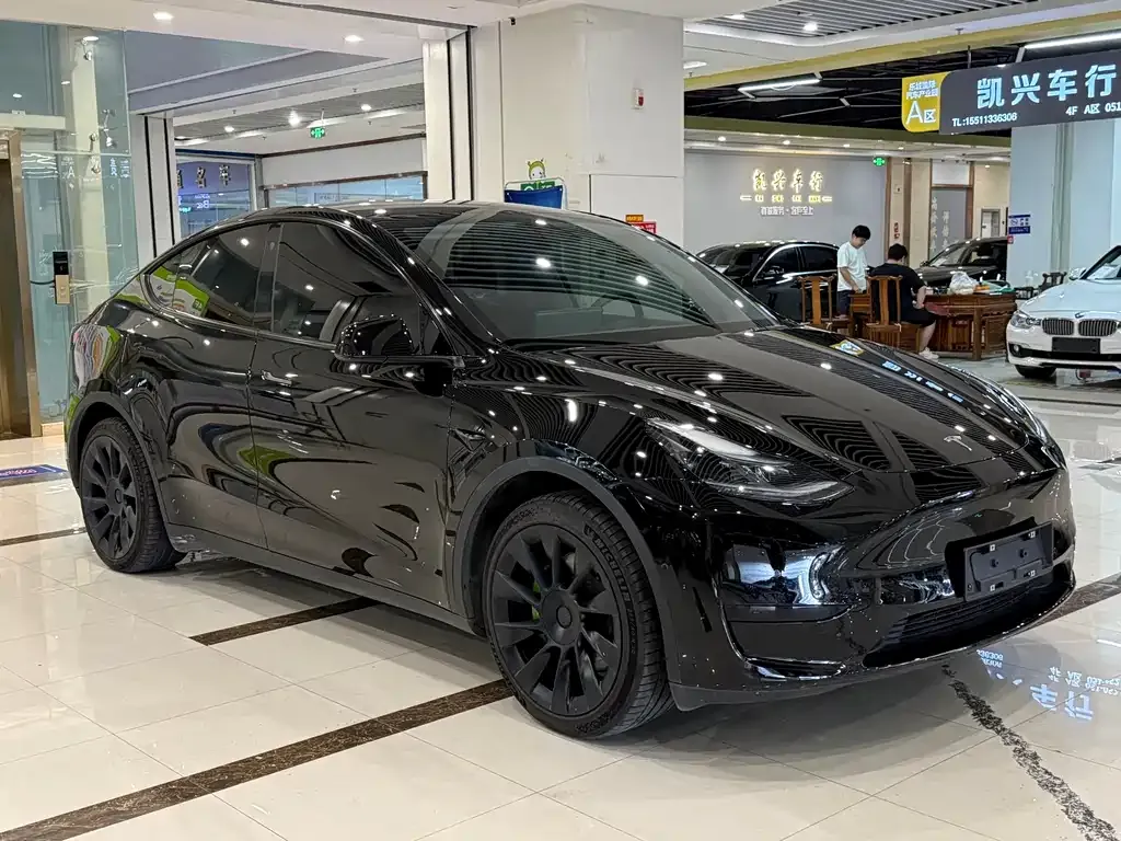 Tesla Model Y — фото 8